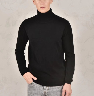 МУЖСКАЯ ВОДОЛАЗКА LORO PIANA 