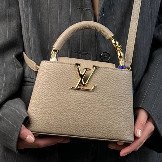 СУМКА LOUIS VUITTON CAPUCINES 