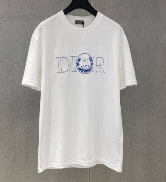 МУЖСКАЯ ФУТБОЛКА CHRISTIAN DIOR 