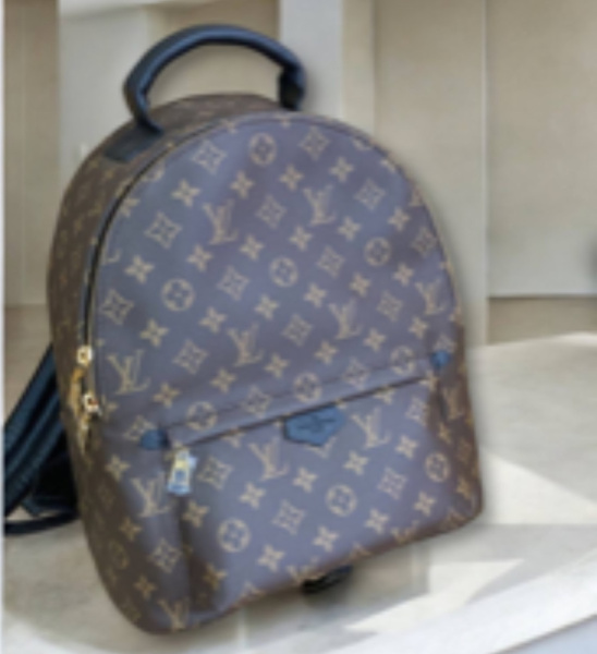 РЮКЗАК LOUIS VUITTON 