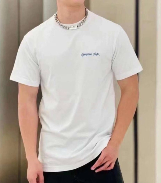 МУЖСКАЯ ФУТБОЛКА CHRISTIAN DIOR 