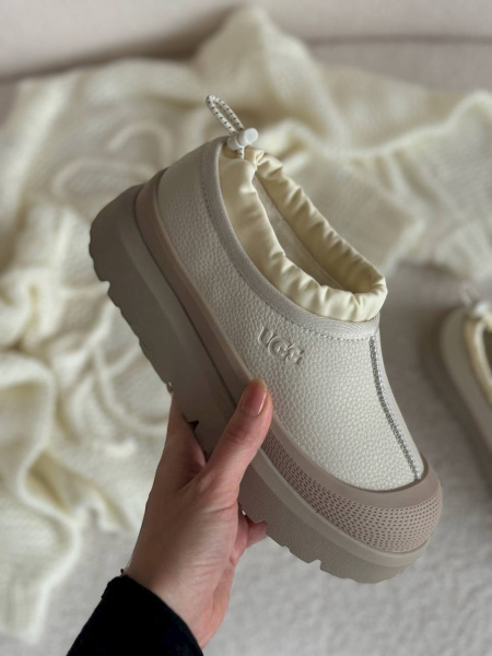 УГГИ UGG TASMAN  80977 фото анонса