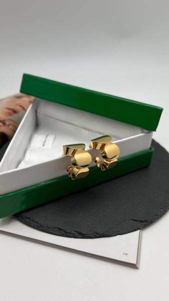 СЕРЬГИ BOTTEGA VENETA 74291 фото анонса