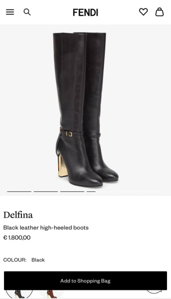 САПОГИ FENDI  64113 фото анонса