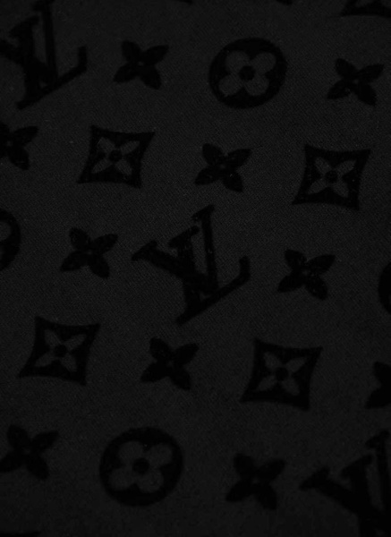 МУЖСКАЯ ФУТБОЛКА LOUIS VUITTON  73352 фото анонса
