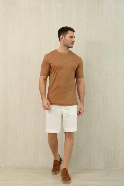 МУЖСКАЯ ФУТБОЛКА ZEGNA  75238 фото анонса