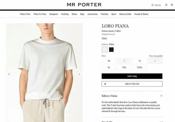 МУЖСКАЯ ФУТБОЛКА LORO PIANA  72711 фото анонса