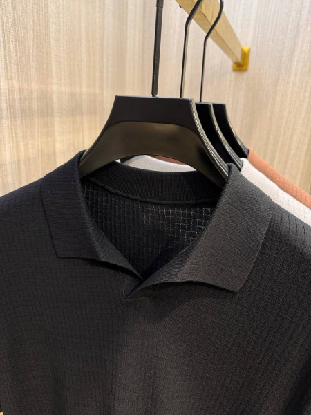 МУЖСКОЕ ПОЛО LORO PIANA  77728 фото анонса