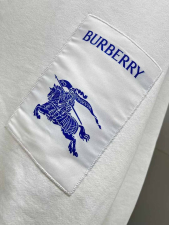 МУЖСКОЙ СВИТШОТ BURBERRY  73339 детальное фото товара