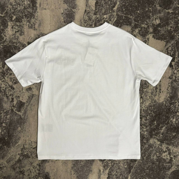 МУЖСКАЯ ФУТБОЛКА CHRISTIAN DIOR 73890 фото анонса