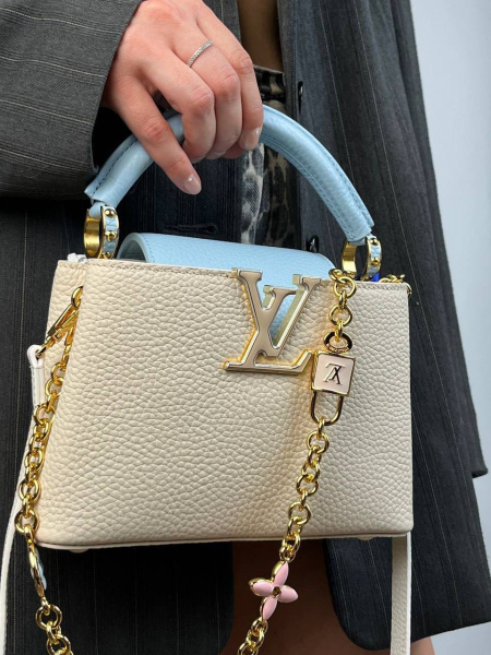 СУМКА LOUIS VUITTON CAPUCINES  69577 фото анонса