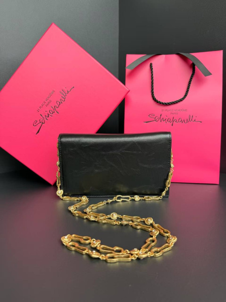 СУМКА SCHIAPARELLI  75196 фото анонса