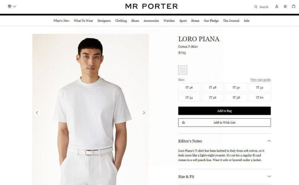 МУЖСКАЯ ФУТБОЛКА LORO PIANA  75611 фото анонса