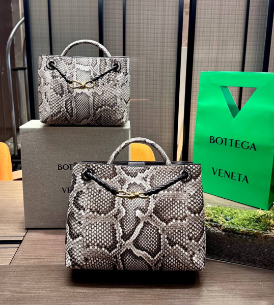 СУМКА BOTTEGA VENETA ANDIAMO SHOULDER BAG PYTHON  72911 фото анонса
