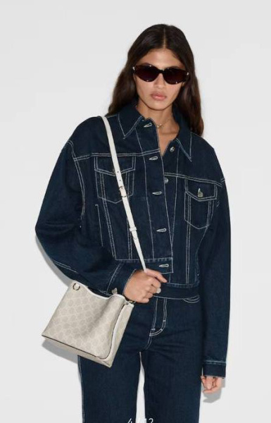 СУМКА GUCCI EMBLE  76118 фото анонса