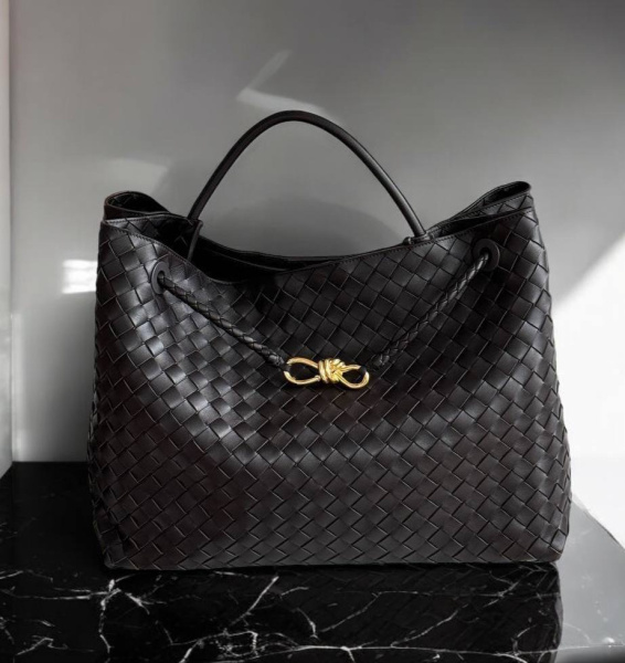 СУМКА BOTTEGA VENETA MEDIUM ANDIAMO  66078 фото анонса