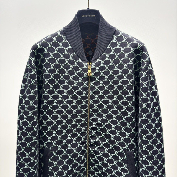 МУЖСКОЕ ХУДИ LOUIS VUITTON  70062 фото анонса