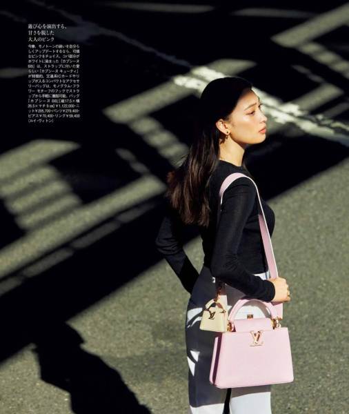 СУМКА LOUIS VUITTON  69848 фото анонса