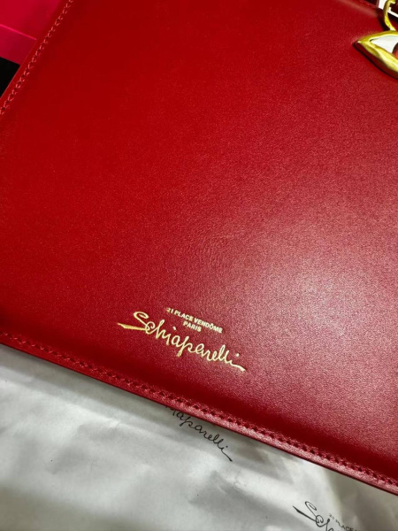 СУМКА SCHIAPARELLI  73653 фото анонса