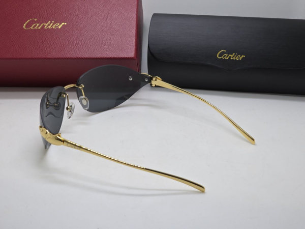 ОЧКИ CARTIER  74921 фото анонса