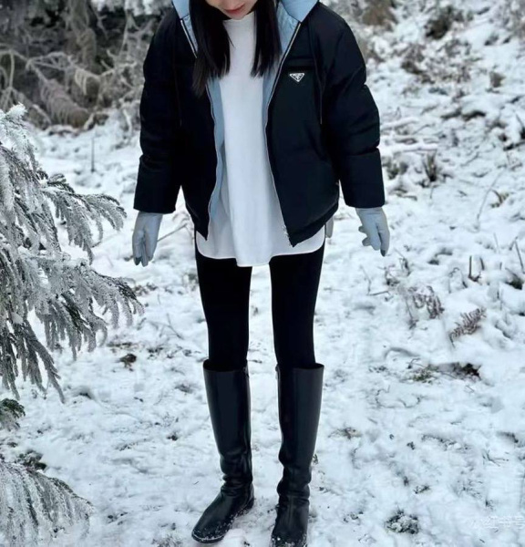 ПУХОВИК PRADA 54731 фото анонса