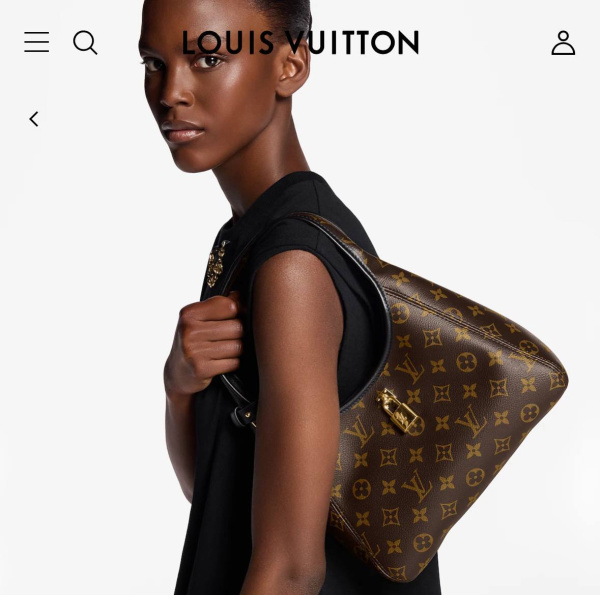 СУМКА LOUIS VUITTON  79779 фото анонса