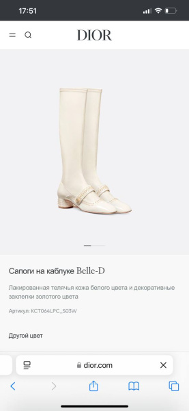 САПОГИ CHRISTIAN DIOR  71938 фото анонса