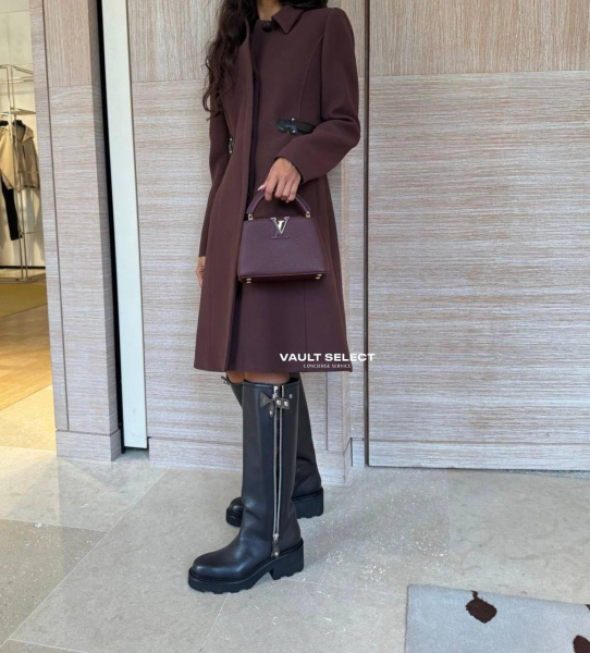 СУМКА LOUIS VUITTON PREMIUM  80646 фото анонса