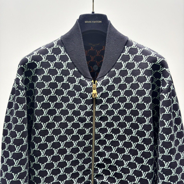 МУЖСКОЕ ХУДИ LOUIS VUITTON  70062 фото анонса