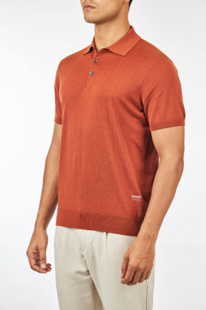 МУЖСКОЕ ПОЛО ZEGNA 66088 детальное фото товара