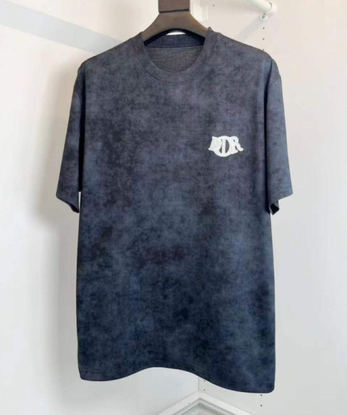 МУЖСКАЯ ФУТБОЛКА CHRISTIAN DIOR 