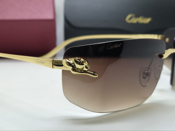 ОЧКИ CARTIER  74923 фото анонса