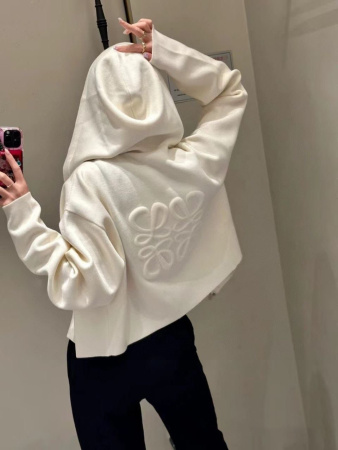 ХУДИ LOEWE  62041 детальное фото товара