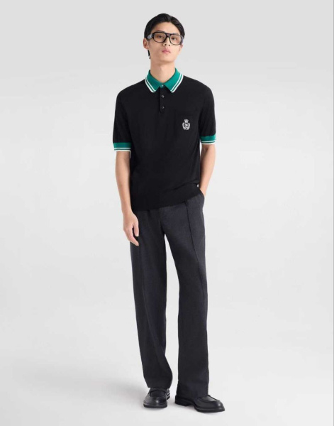 МУЖСКОЕ ПОЛО DOLCE & GABBANA  77410 фото анонса