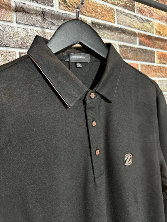 МУЖСКОЕ ПОЛО ZEGNA 69820 детальное фото товара