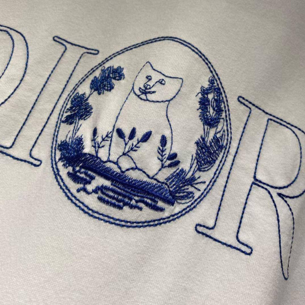 МУЖСКАЯ ФУТБОЛКА CHRISTIAN DIOR  75169 фото анонса