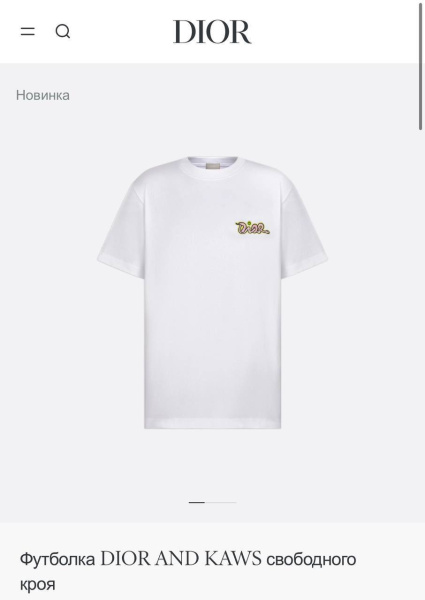 МУЖСКАЯ ФУТБОЛКА CHRISTIAN DIOR 73890 фото анонса