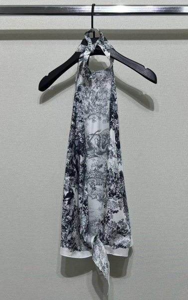 ТОП CHRISTIAN DIOR  76750 фото анонса