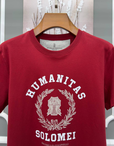 МУЖСКАЯ ФУТБОЛКА BRUNELLO CUCINELLI  68418 фото анонса