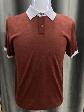 МУЖСКОЕ ПОЛО BRUNELLO CUCINELLI 