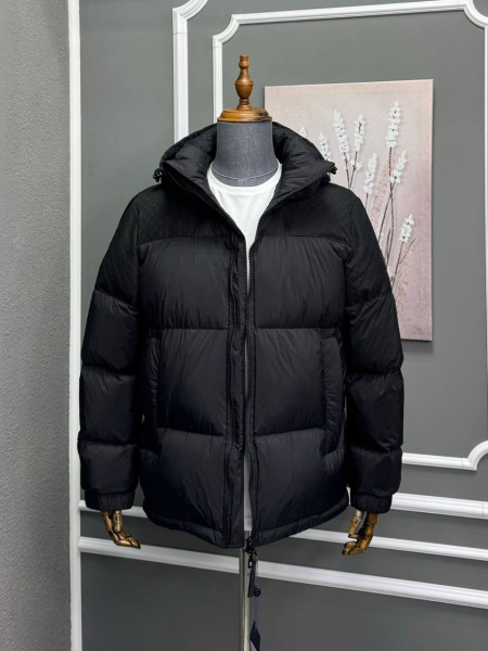 МУЖСКОЙ ПУХОВИК LOUIS VUITTON  72123 фото анонса