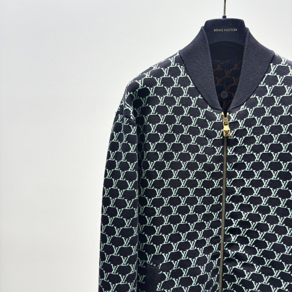 МУЖСКОЕ ХУДИ LOUIS VUITTON  70062 фото анонса