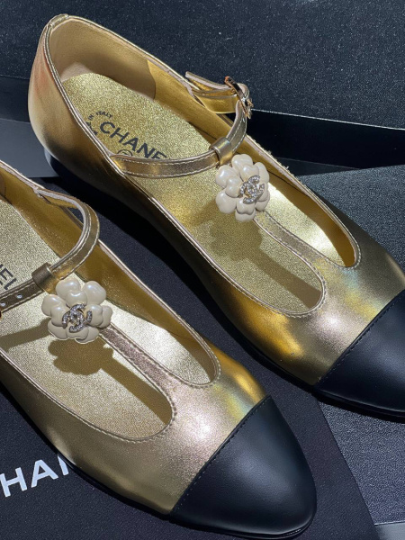 БАЛЕТКИ CHANEL  65221 фото анонса