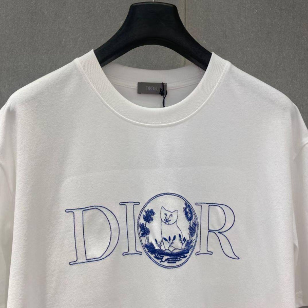 МУЖСКАЯ ФУТБОЛКА CHRISTIAN DIOR  75169 фото анонса