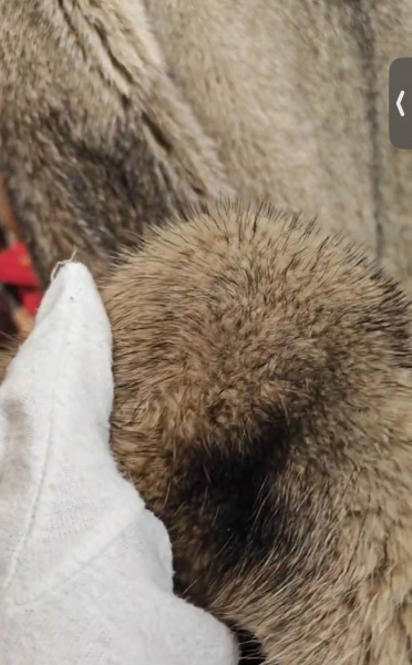 ШУБА THE ROW  80220 фото анонса