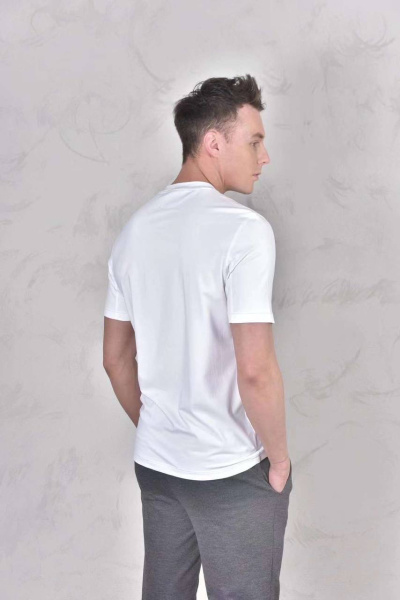 МУЖСКАЯ ФУТБОЛКА BRUNELLO CUCINELLI  69243 фото анонса