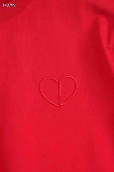 МУЖСКАЯ ФУТБОЛКА CHRISTIAN DIOR  73265 фото анонса