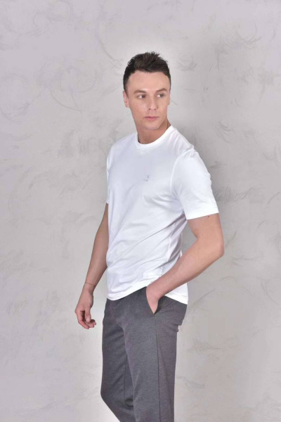 МУЖСКАЯ ФУТБОЛКА BRUNELLO CUCINELLI  69243 фото анонса