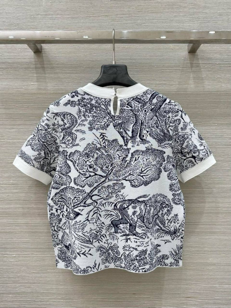 ФУТБОЛКА CHRISTIAN DIOR  78626 фото анонса