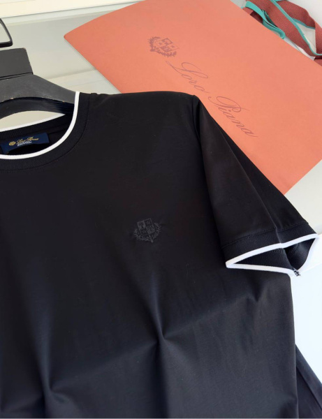 МУЖСКАЯ ФУТБОЛКА LORO PIANA  73727 фото анонса